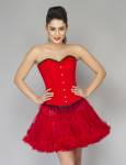 Red Velvet Gothic Waist Training Bustier Overbust Top & Red Tutu Skirt Corset Dress